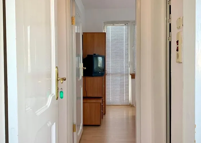 тедис хоум ブルガス