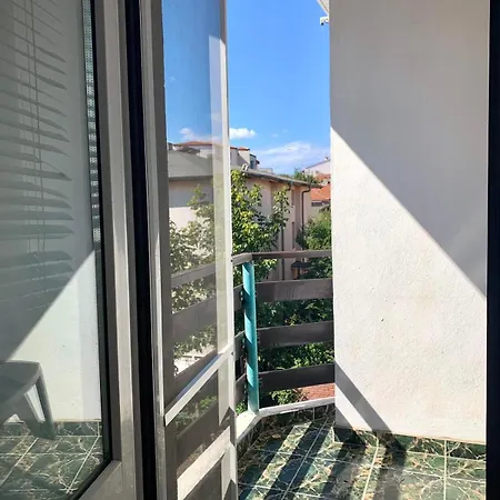 Тедис Хоум *